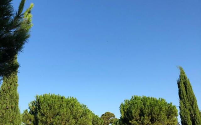 Domaine de La Forçate