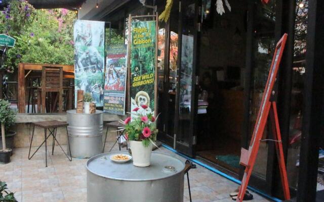 Bunk Boutique Hostel Chiangmai