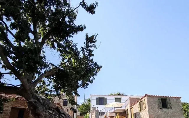The Hill Village House