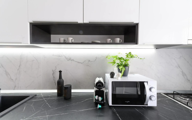 North Artistique - Aviatiei