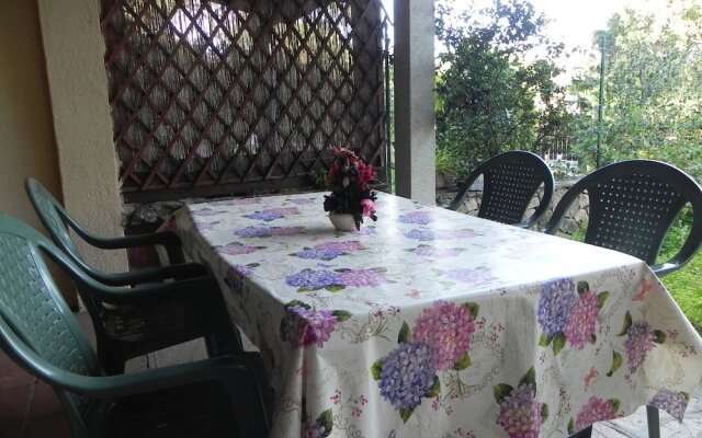 Fantastico San Teodoro AMB01