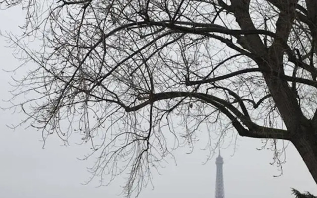 Amazing Saint Germain and Seine Flat