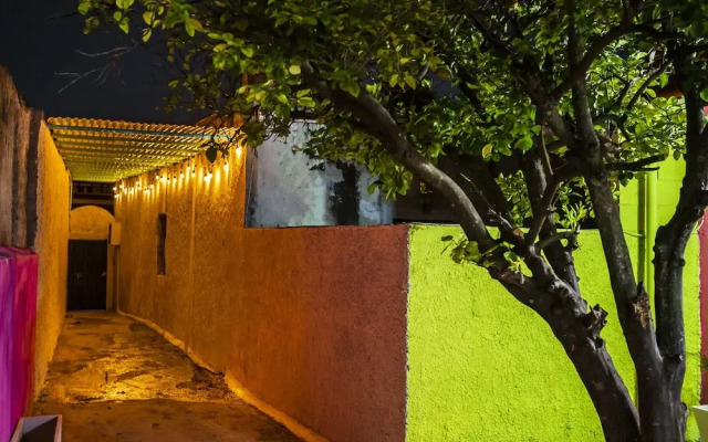 Casa Cuevas & Amaro