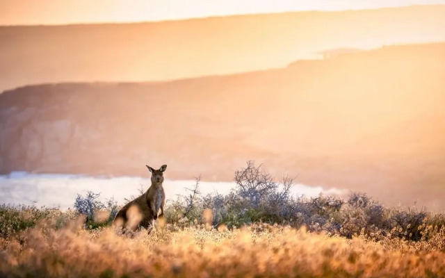 Unwind Kangaroo Island Dreaming