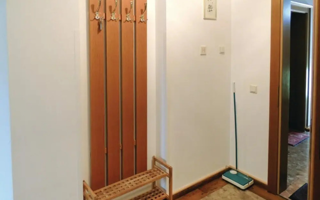 Nice Apartment in Flachau With 2 Bedrooms and Wifi