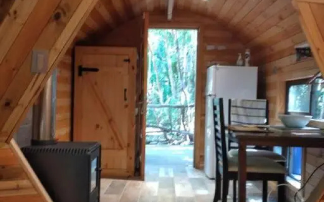 Domo Bosque Nativo Villarrica comuna