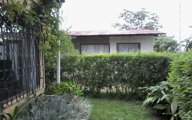 Casa Copalchi