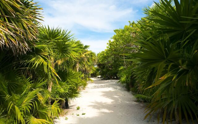 Ikal Hotel Tulum