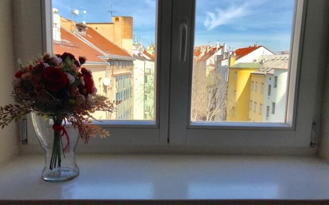 One-bedroom apartment near I.P.Pavlova