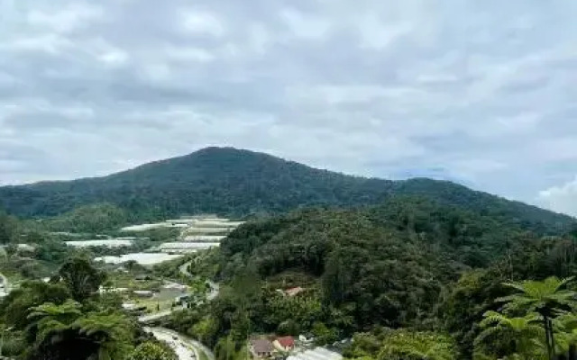 RAYYAN AL HAMD Landed MUSLIM HOMESTAY CAMERON HIGHLANDS