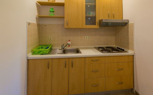 Apartment Nika