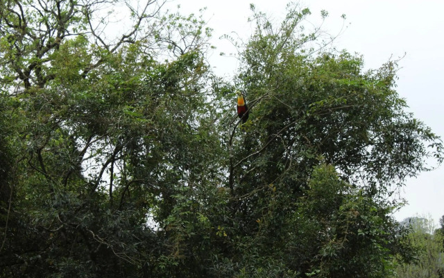 Residencial Villa Verde - 403 B