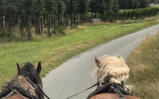 Appartement Familie Willems Winterberg 3