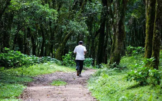 Varshana Boutique Hotel