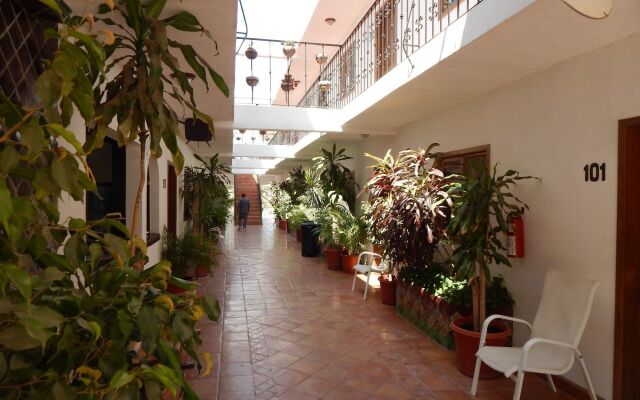 Cabo Cush Hotel