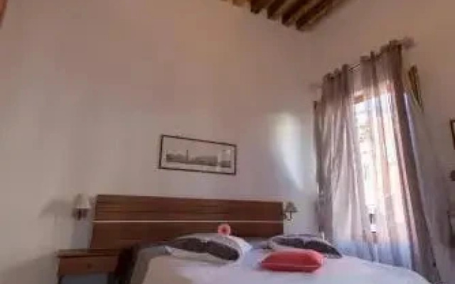 Maria 3536