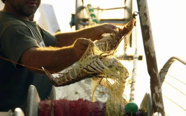 Über den Dächern von Koroni