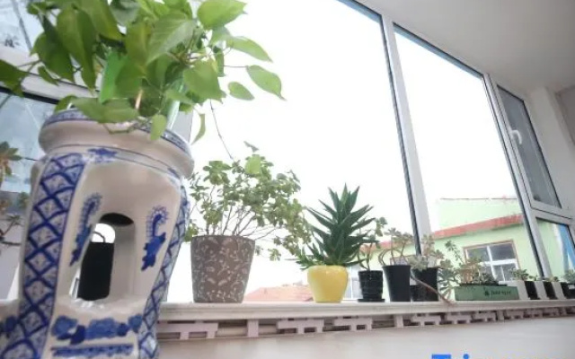 Laoshan District Yihai Beili Accommodation Service Center – Guest Rooms – Qingdao