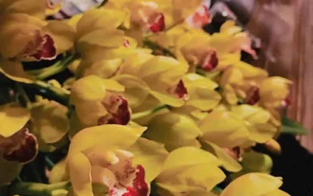 September Huizhou Inn