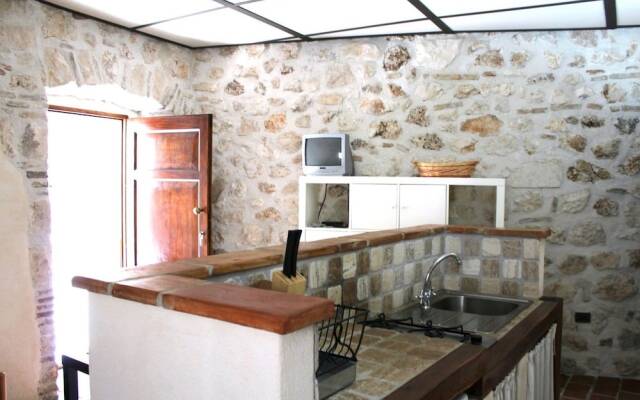 Volpe - Parco Nazionale d'Abruzzo