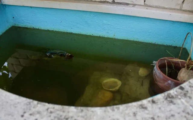 Quinta D'Eira Grande