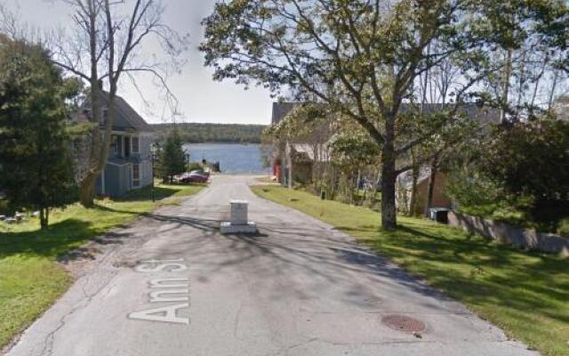 Beside The Tulip Tree