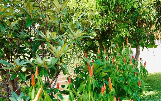 La Villa Paille en Queue