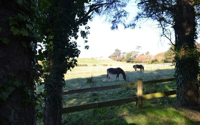 Shelley Guest House