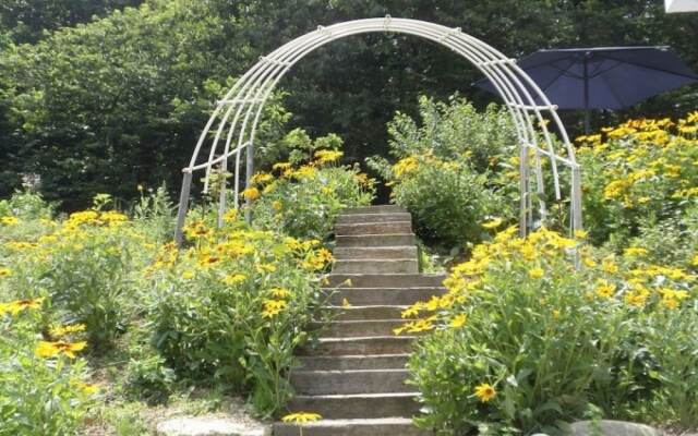 Sokcho White Light House Pension