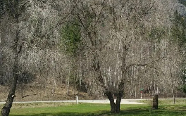 Rivermount Motel Campground and RV Park