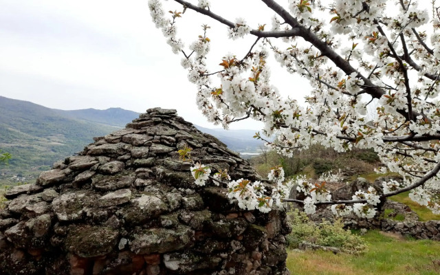 Apartamento Rural Amaluna