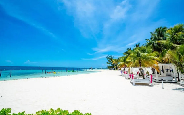 Smart Cancun The Urban Oasis