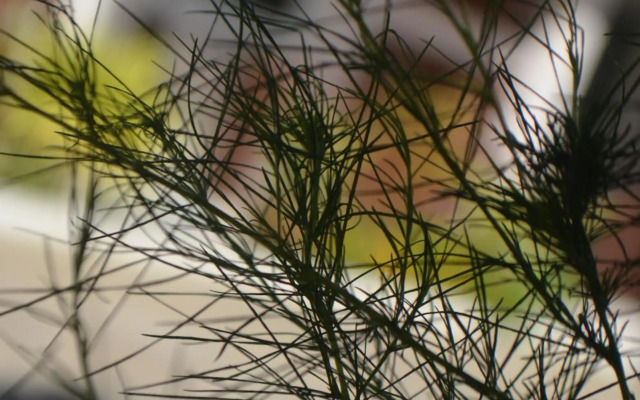 Thosawan Resort ทศวรรณ รีสอร์ท