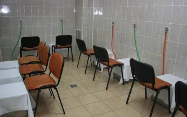 Hotel Bradul