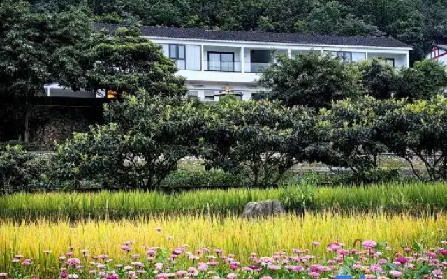 Xingyi QingqingYuye Homestay