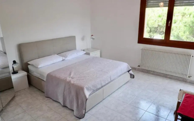 App. Marcopolo - 100mt Dal Mare