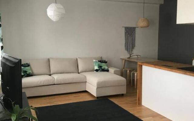 City center apartment with sauna, Rovakatu 13