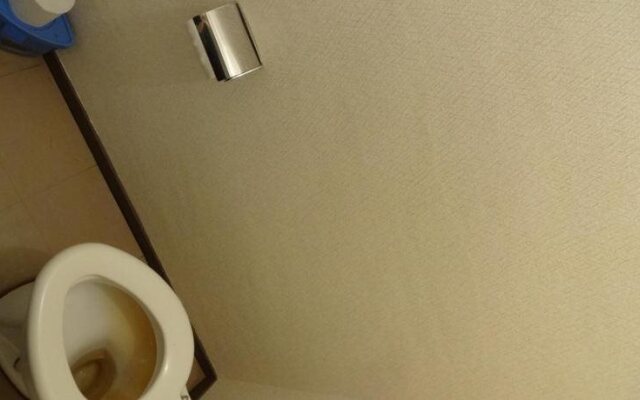 Echigo Yuzawa Hirokawa