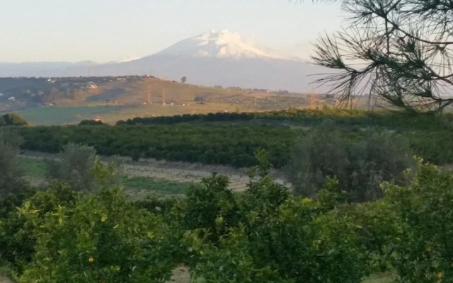 Pietre di gelo dei F.lli Valenziani