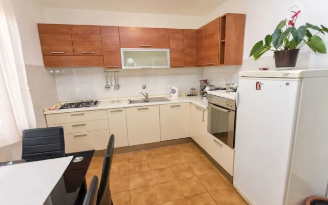 Apartments Drlja