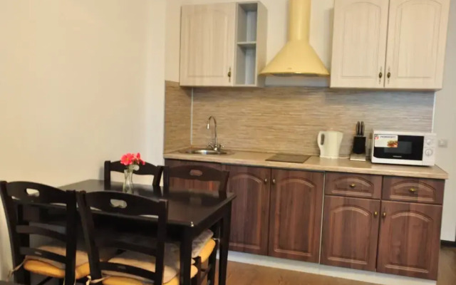Apartment on Energetikov 11