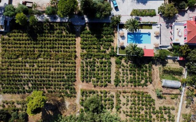 Zissis Villa & pool 5min drive to beach