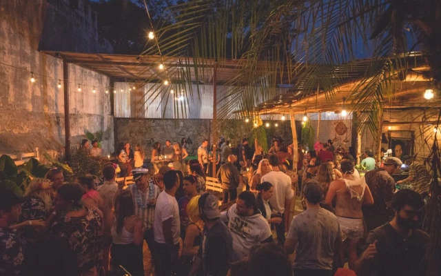 The Doozy Koala Hostel