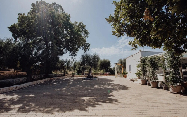 Civico Pino in Monopoli