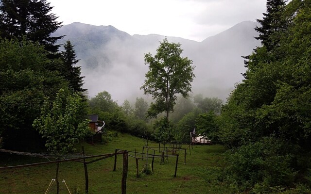 Les Insolites d'Eljie