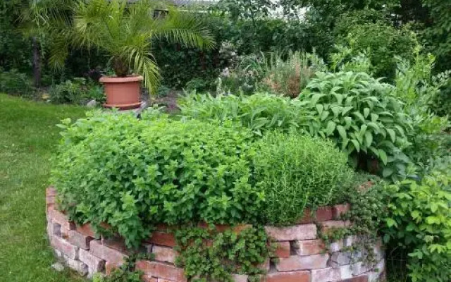 Gartenidylle in Sandau