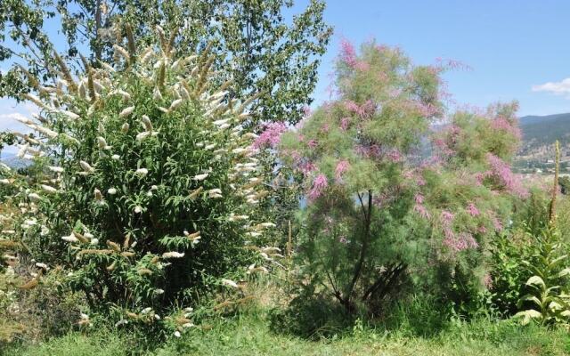 E'Laysa Guesthouse and Vineyard Retreat