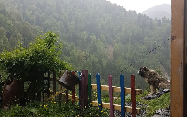 Fora Pansiyon