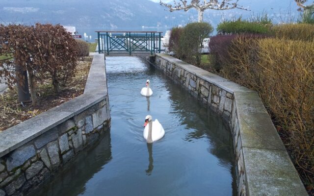 Studio les Pieds dans L'eau