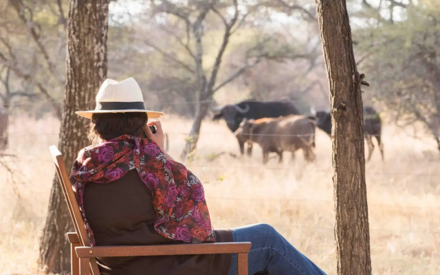 Mziki Safari Lodge